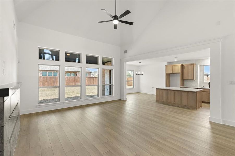 14. 1028 Little Gull - Family