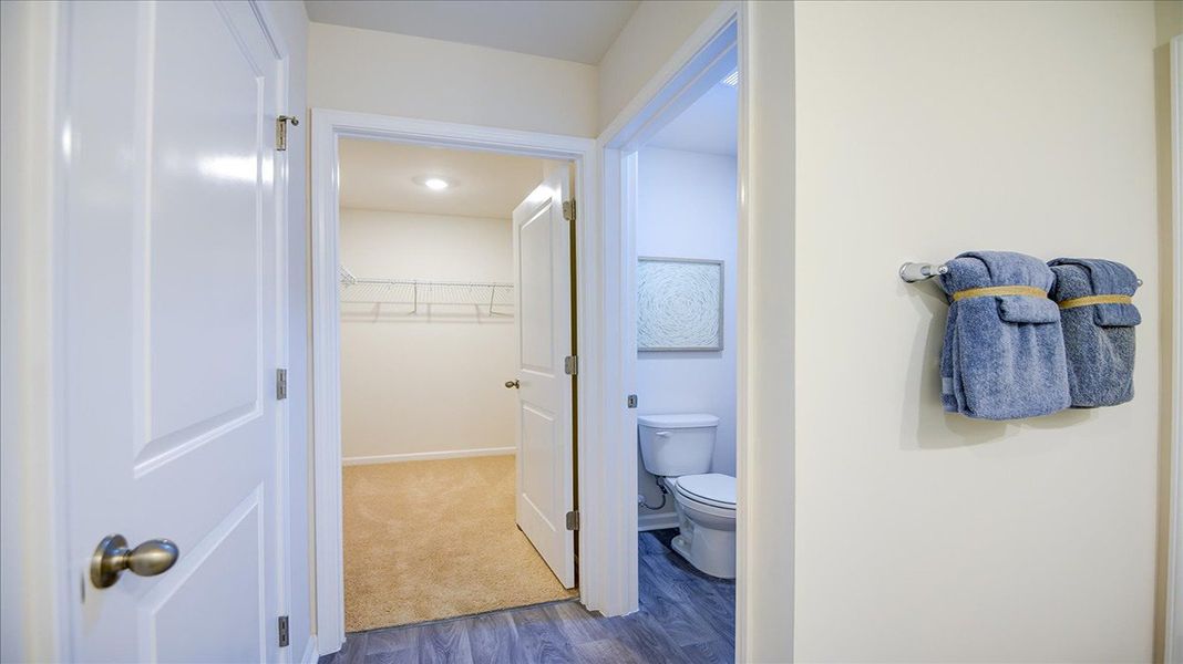 Furnished interior view inside a new home in Bynum Farms, Farmville (Image 32).