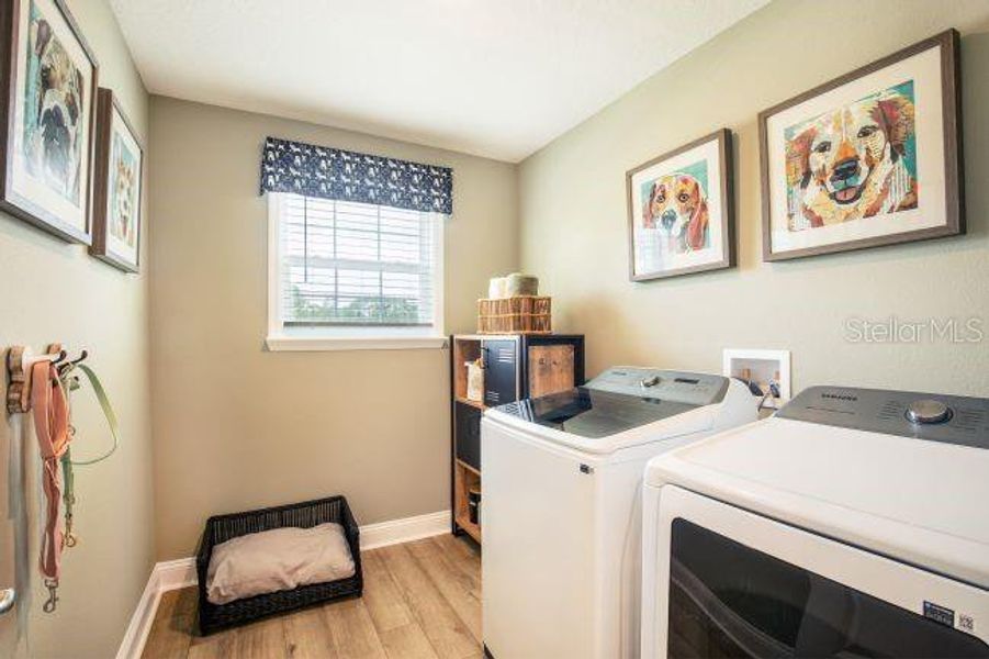 Furnished interior view inside a new home in , Sorrento (Image 16).