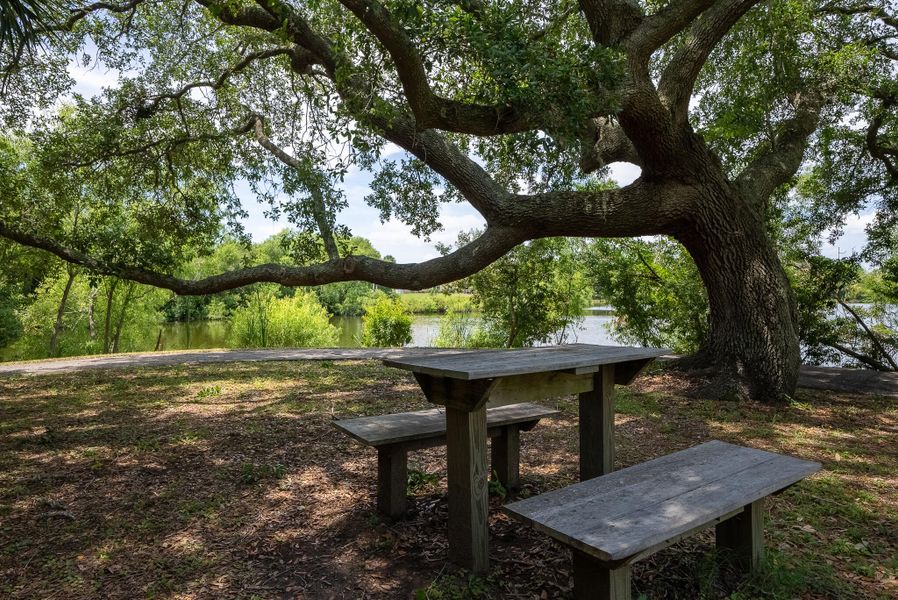 Natural landscape and outdoor views near in Seabrook Island (Image 37). Natural landscape and outdoor views near in Seabrook Island (Image 37).