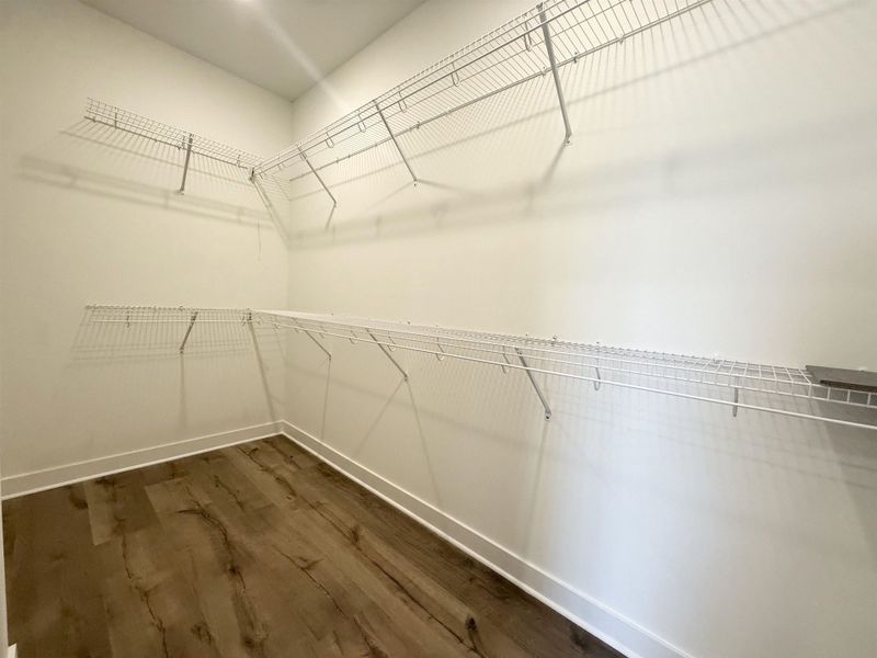 Walk in closet featuring dark wood-style floors