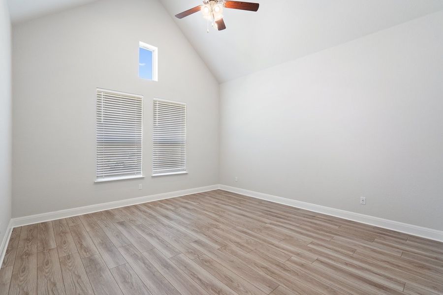 009_mm_03834 009_mm_03834