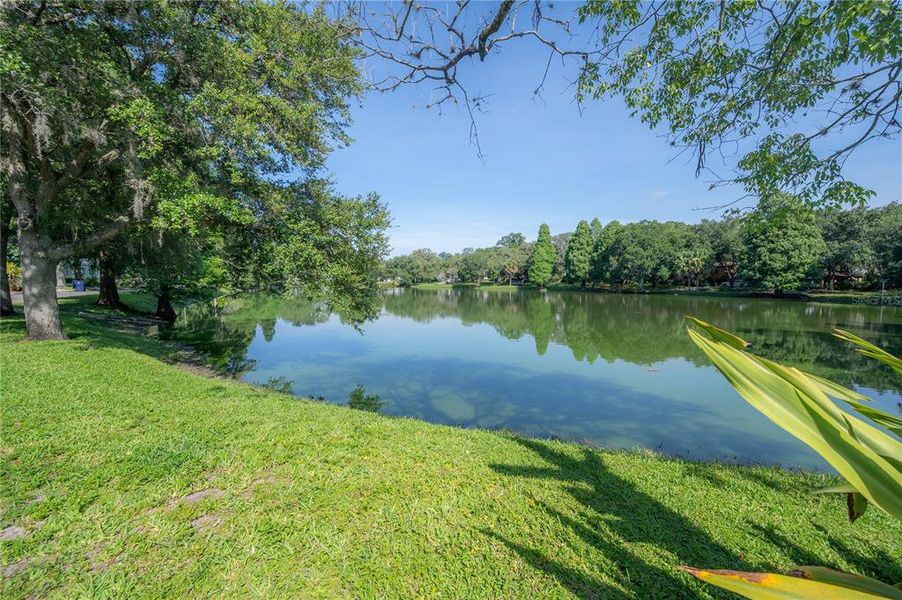 Natural landscape and outdoor views near  in Tampa (Image 60).