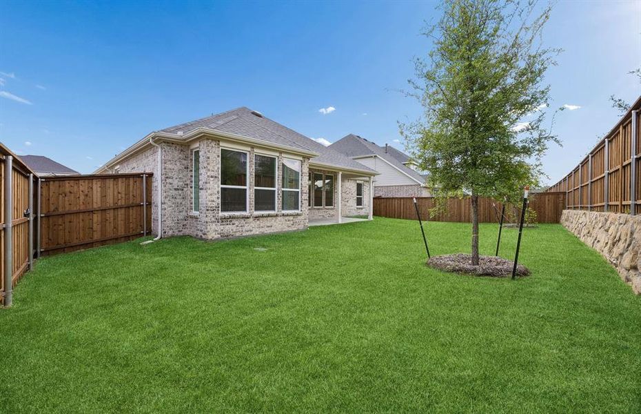 Large fenced-in backyard