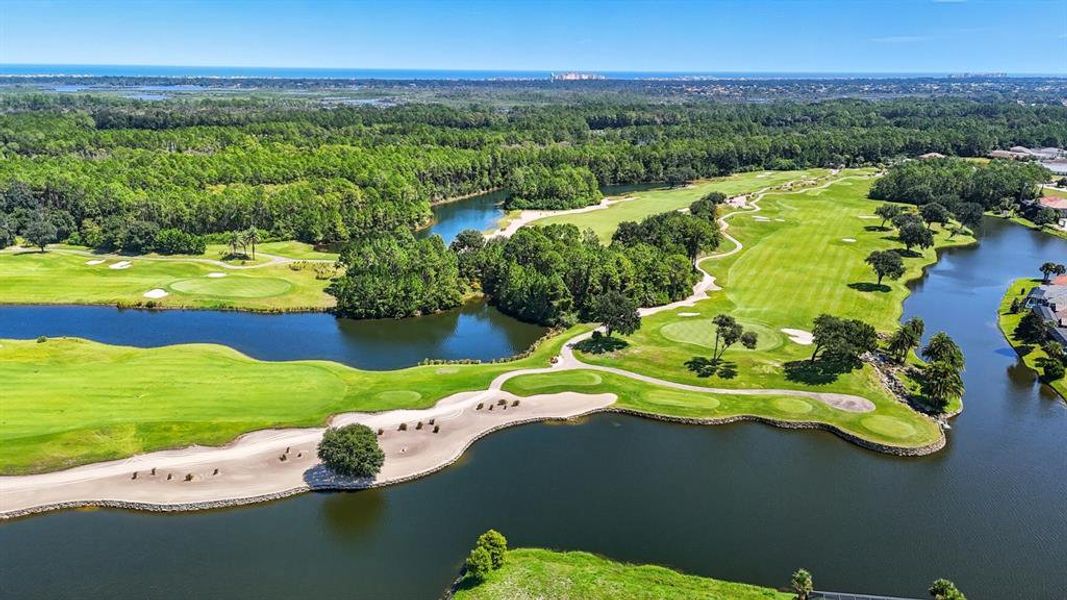 Natural landscape and outdoor views near  in Palm Coast (Image 48).