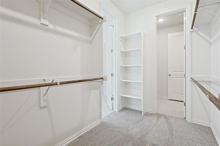 Walk in closet featuring light colored carpet