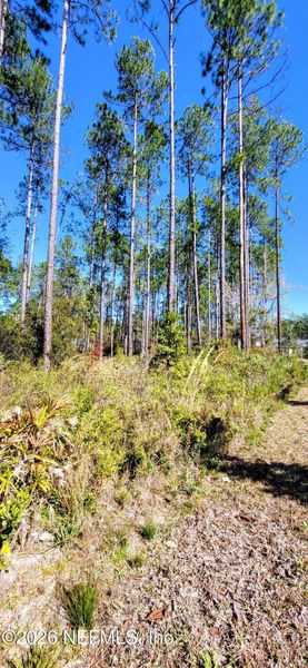 Natural landscape and outdoor views near  in St. Johns (Image 60).