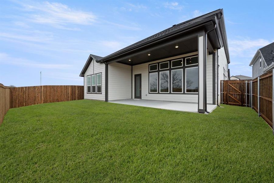 1729 Nesting Robin- Back-1