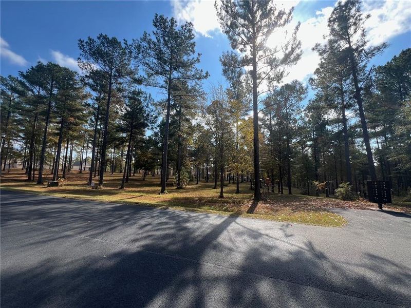 Natural landscape and outdoor views near  in Eatonton (Image 7).