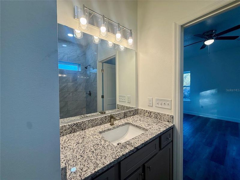 Furnished interior view inside a new home in , Williston (Image 9).