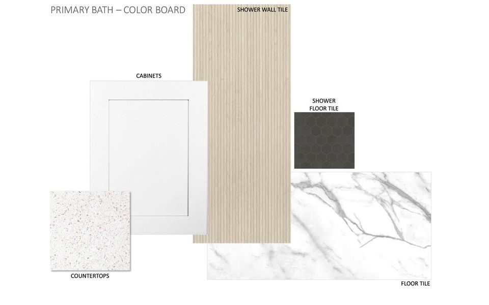 Image 5 of a home in Traditional Homes at Easton Park.