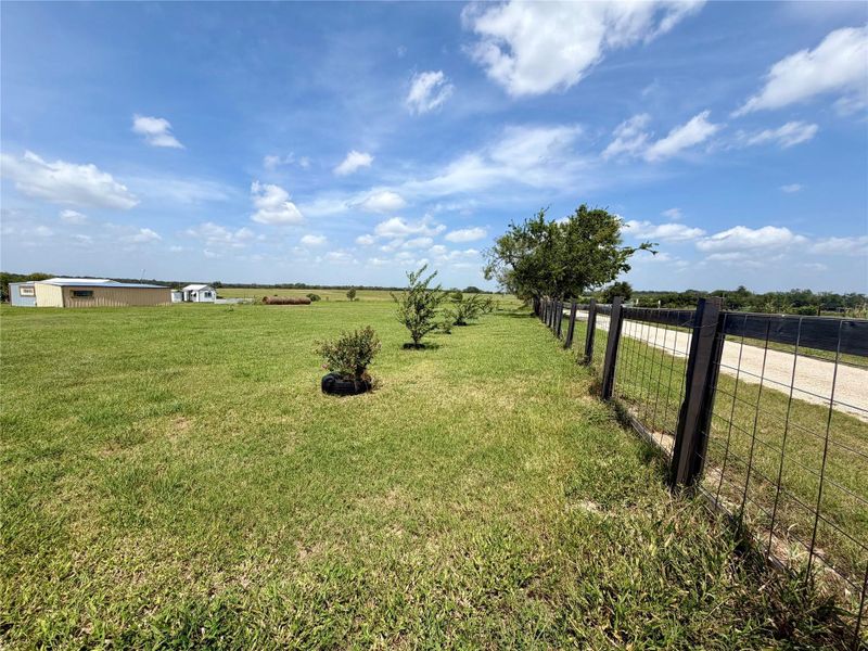 A spacious expanse of green pastureland borders a sturdy wire fence and a private dirt road.