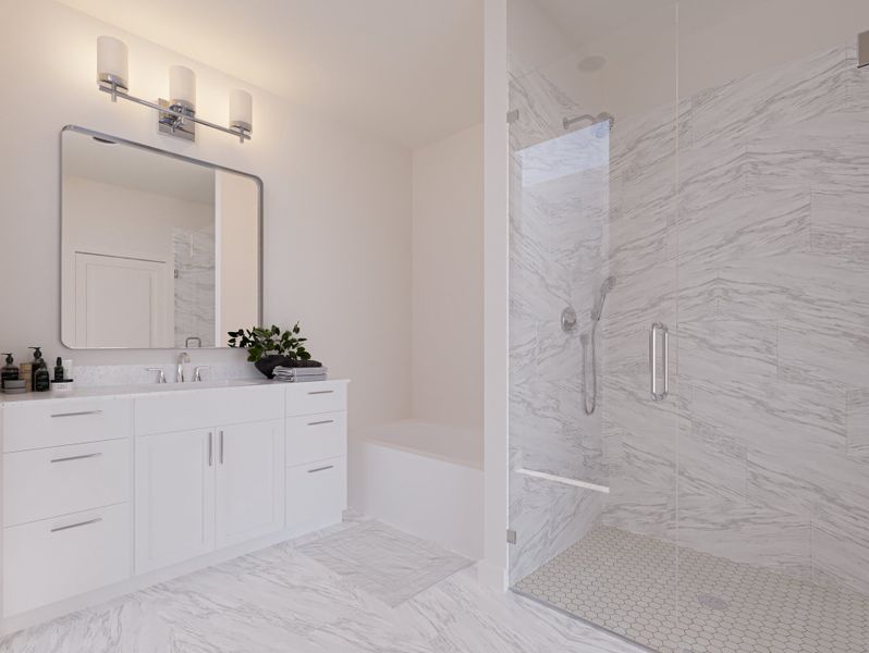 Owner's Bath