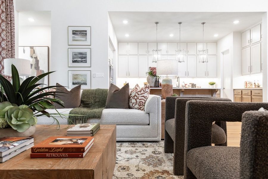 Representative Family Room - some options shown
