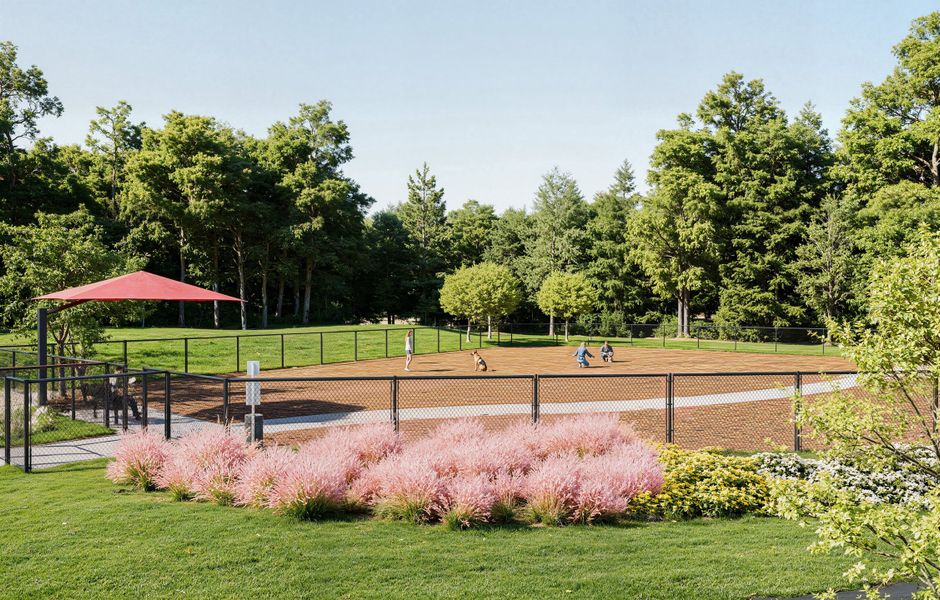 Community amenities in Forestville Station, Wake Forest (Image 15).