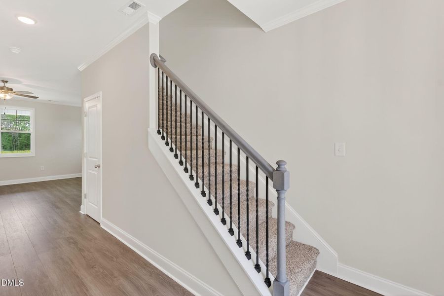 8-web-or-mls-010_P1539342 - Copy