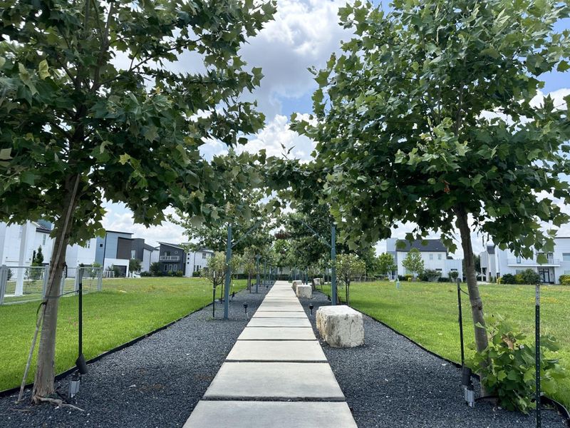 Lighted Path to Pool