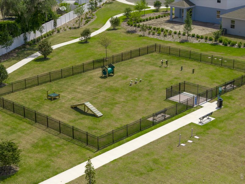 Community amenities associated with the Newcastle by Risewell Homes in Trinity Place, St. Cloud (Image 18).