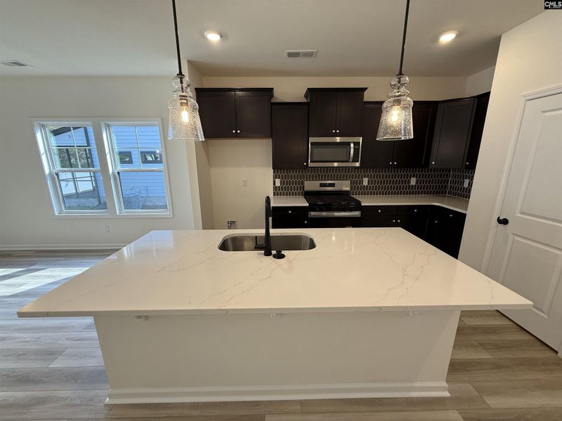 Furnished interior view inside a new home in Dunbar Village, Cayce (Image 6).