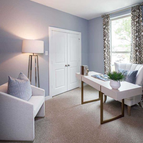 Representative Study - some options shown