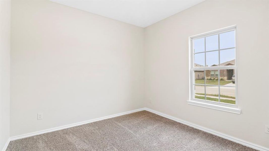 Room with neutral wall paint and plush carpeting