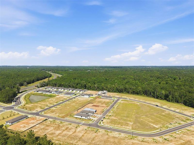 Site preparation for new homesites in Leyland Preserve - Premier Series, Brooksville (Image 51).
