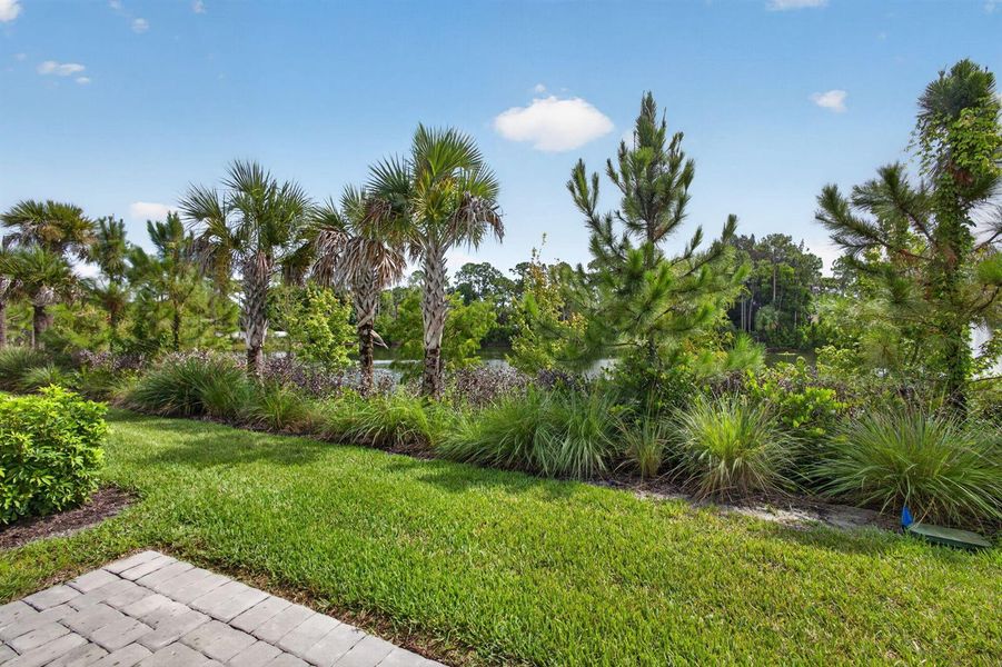 41-web-or-mls-5D1A8376