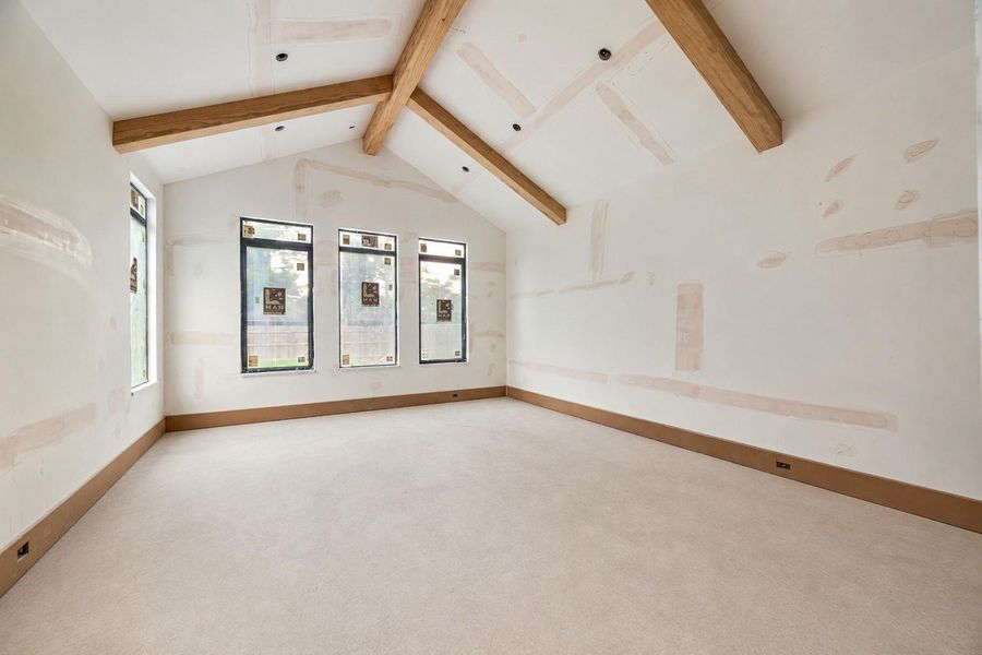 Primary Bedroom with 16 ft vaulted ceilings Primary Bedroom with 16 ft vaulted ceilings
