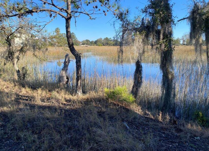 Natural landscape and outdoor views near  in Yonges Island (Image 30).