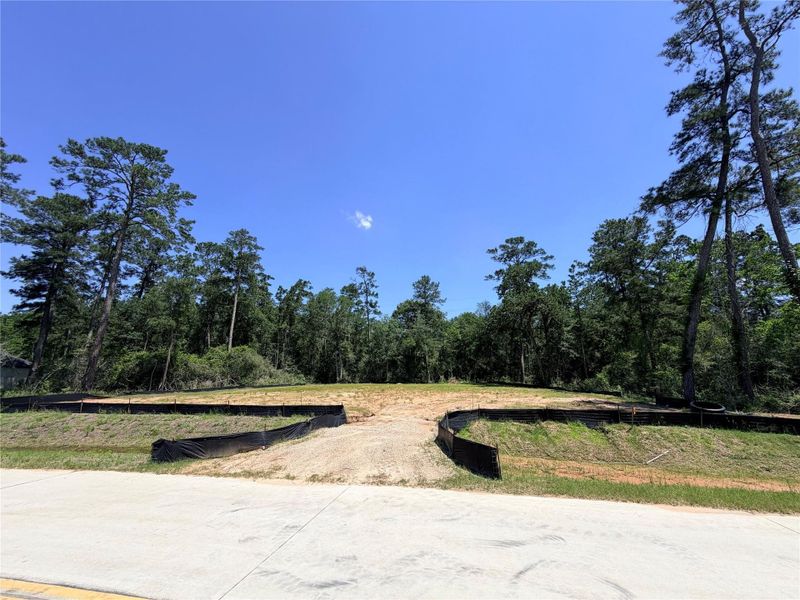 Natural landscape and outdoor views near Butlers Bend Estates in Pinehurst (Image 13).