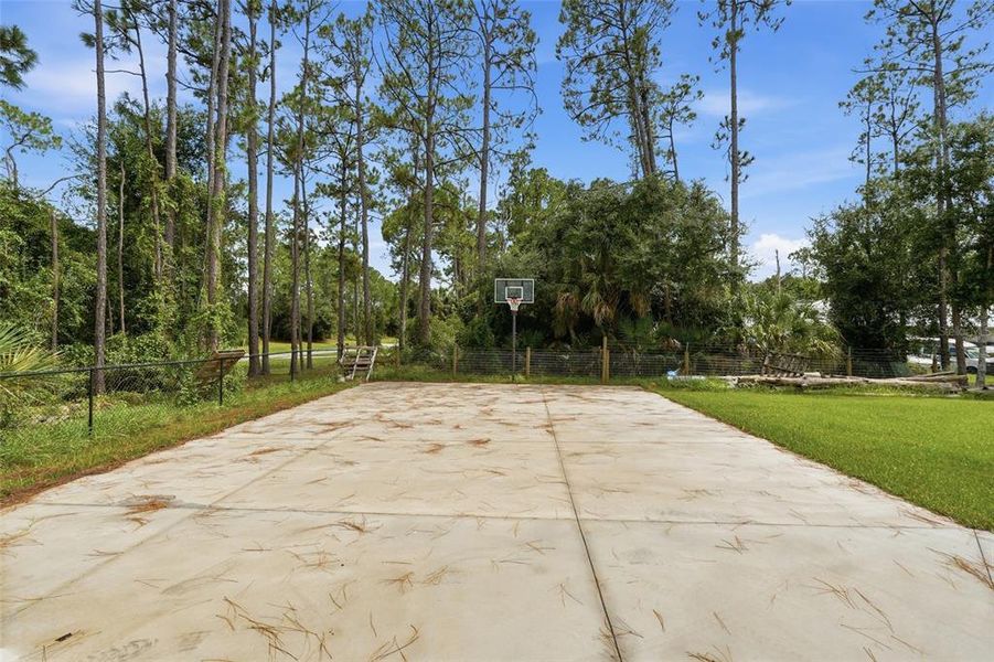 Natural landscape and outdoor views near  in North Port (Image 46).