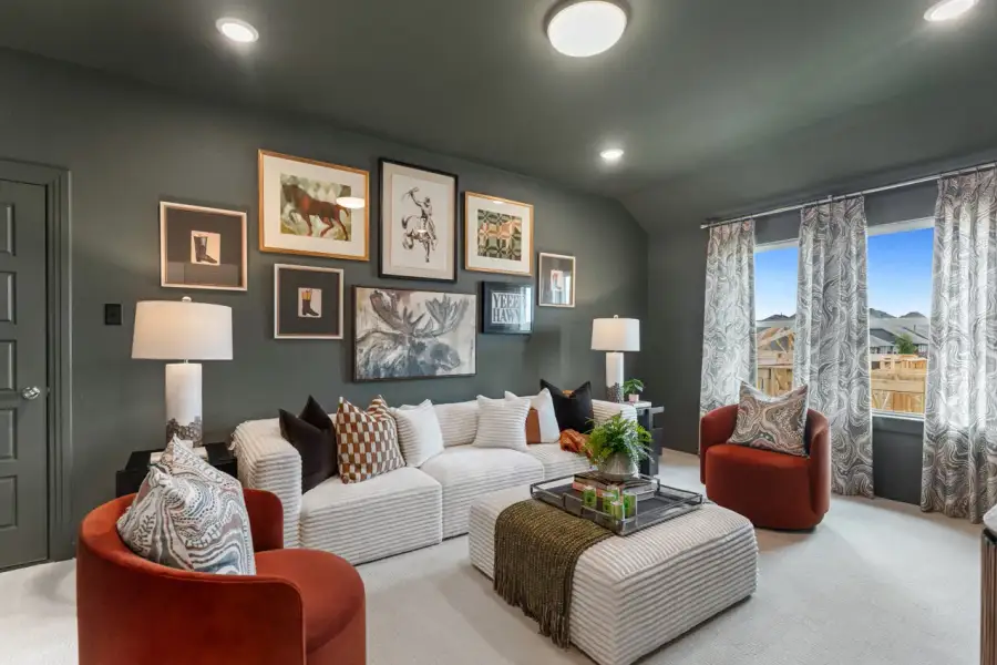 Representative Entertainment Room - some options shown Representative Entertainment Room - some options shown