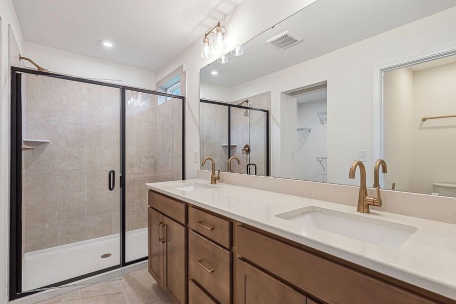 Owner's Bath