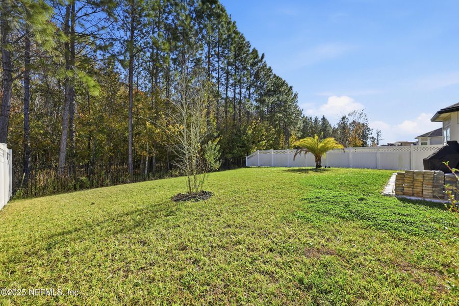 Exterior details and patio area of a home in Silver Landing at SilverLeaf, St. Augustine (Image 27).