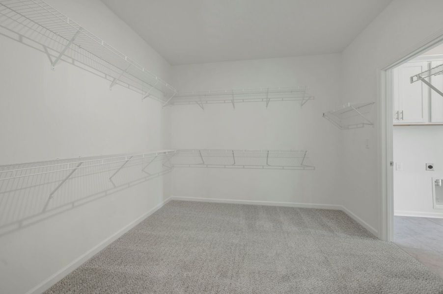 Owner's Closet Owner's Closet