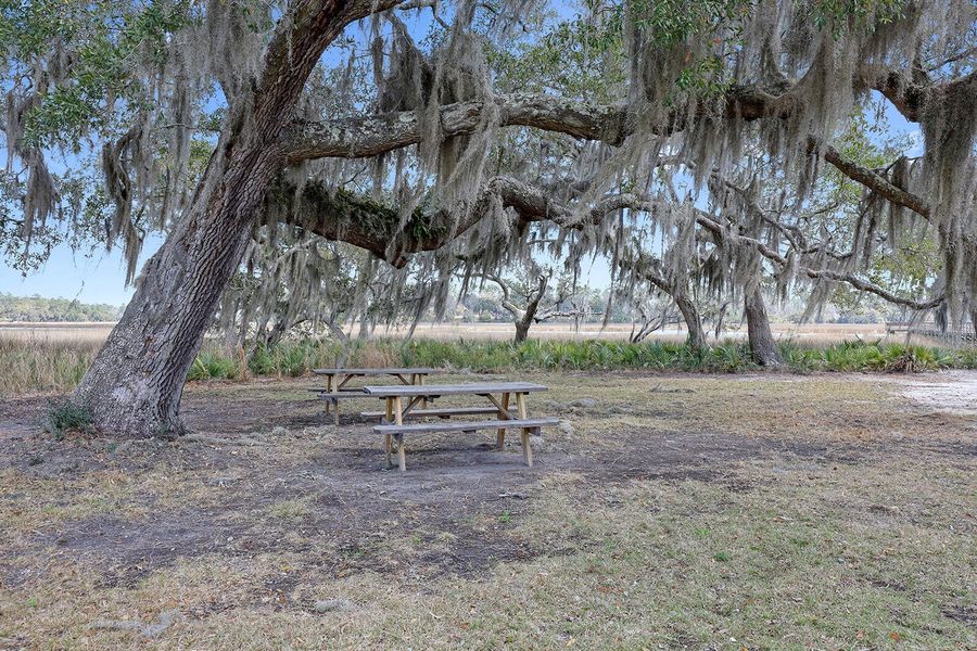 Natural landscape and outdoor views near Rivers Reach in Yemassee (Image 46). Natural landscape and outdoor views near Rivers Reach in Yemassee (Image 46).
