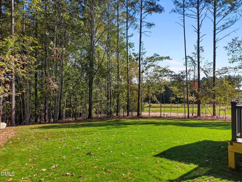 7-web-or-mls-DJI_20251007232441_0493_D