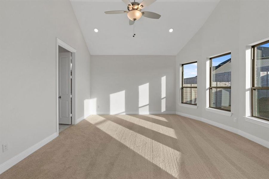 DAL_Painted Tree_Easton_3905 Menard Street (16)