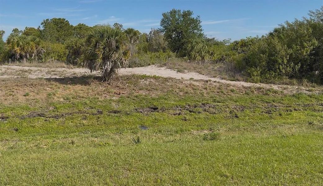 Natural landscape and outdoor views near Gulf Cove in Port Charlotte (Image 9). Natural landscape and outdoor views near Gulf Cove in Port Charlotte (Image 9).