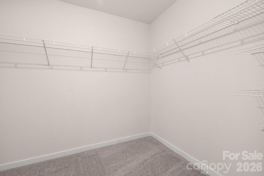 Photos are representative