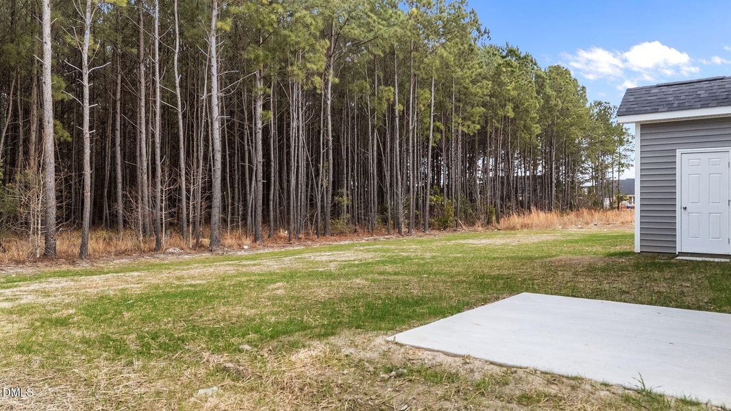 14-web-or-mls-DJI_20260109141600_0746_D