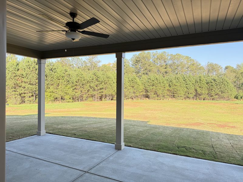 Exterior details and patio area of a home in The Reserve at Reidsboro, Williamson (Image 20).
