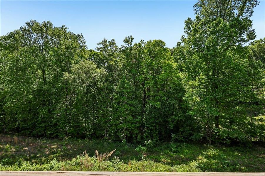 Natural landscape and outdoor views near  in Flowery Branch (Image 35).