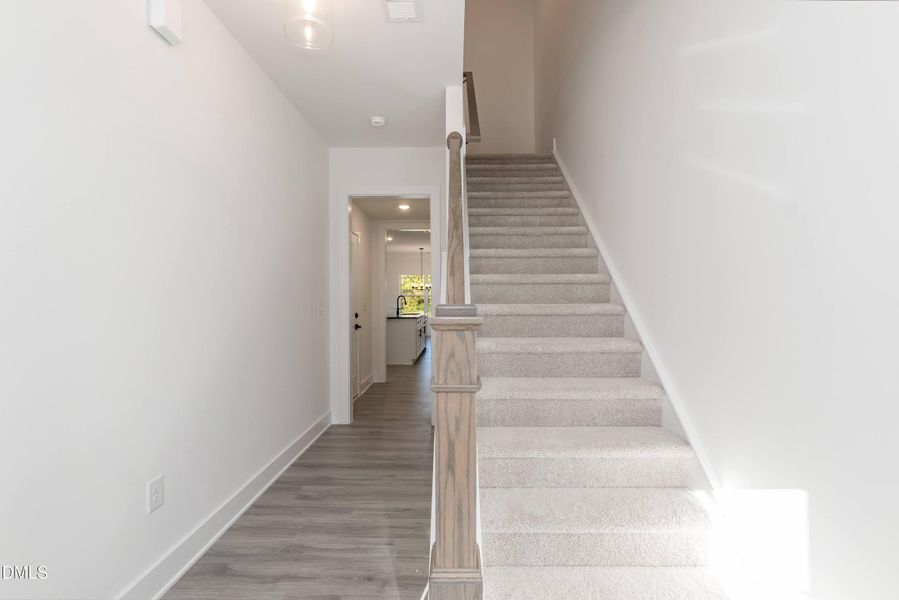 315 New Twin Branch 315 New Twin Branch