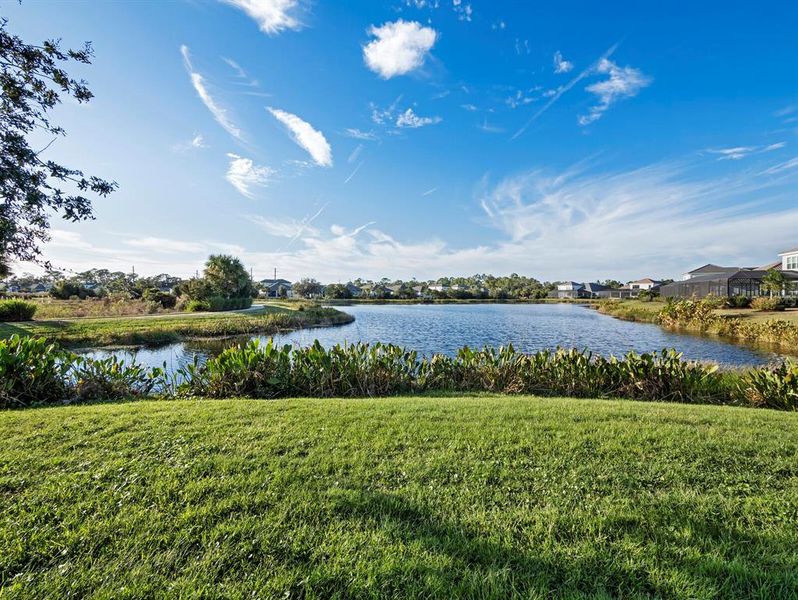 Natural landscape and outdoor views near  in Sarasota (Image 47).