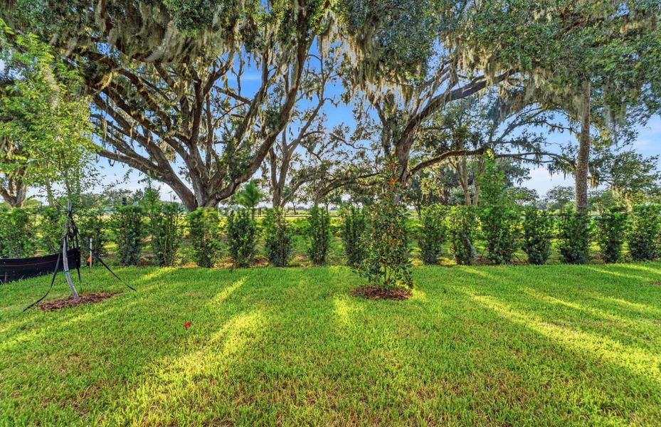 Natural landscape and outdoor views near Riverwood in Zephyrhills (Image 23).