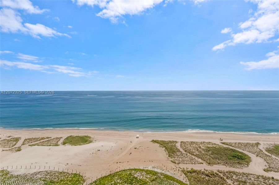 Natural landscape and outdoor views near  in Pompano Beach (Image 60).