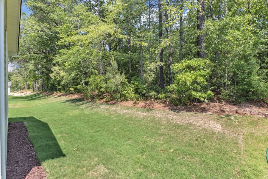Outdoor and nature views near homes built from the The Highland by RobuckHomes in Baylee Ridge, Selma (Image 44). Outdoor and nature views near homes built from the The Highland by RobuckHomes in Baylee Ridge, Selma (Image 44).