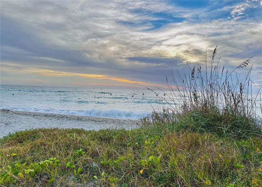 Natural landscape and outdoor views near  in Sarasota (Image 25).