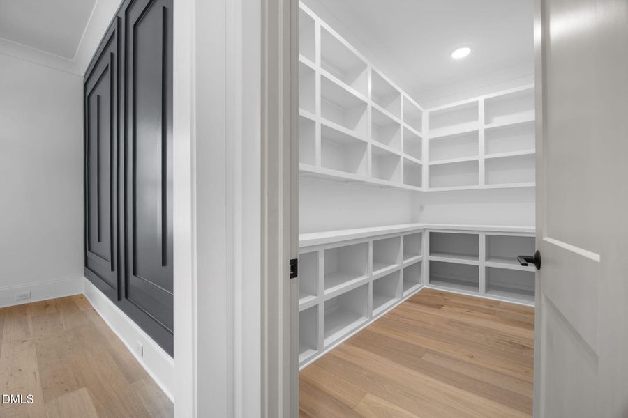 22-web-or-mls-IMG_1987